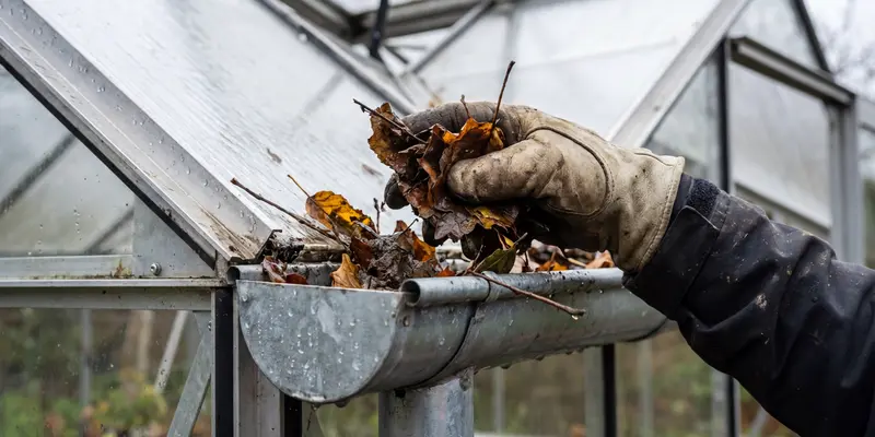 Clearing leaves from greenhouse gutters